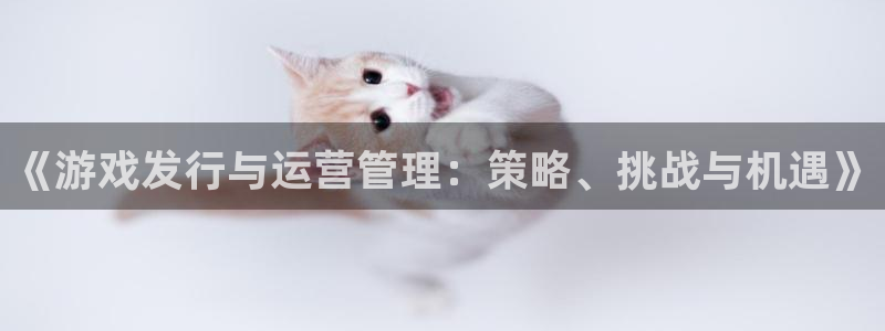 新宝GG官网登录注册账号是什么意思：《游戏发行与运营管理：策略、挑战与机遇》