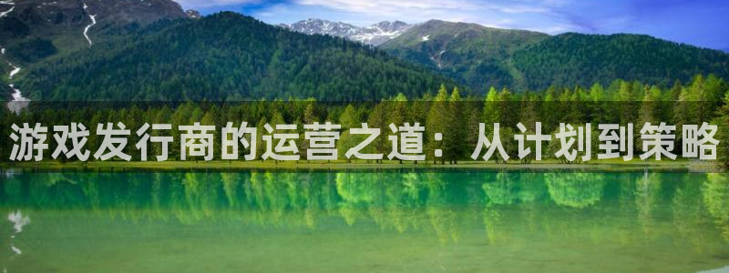 新宝GG子年度最佳图书：游戏发行商的运营之道：从计划到策略