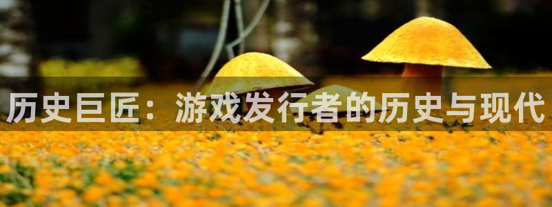 新宝GG官网游戏怎么注册：历史巨匠：游戏发行者的历史与现代