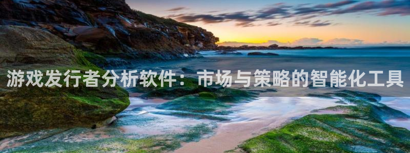 新宝GGlvnces是什么档次：游戏发行者分析软件：市场与策略的智能化工具