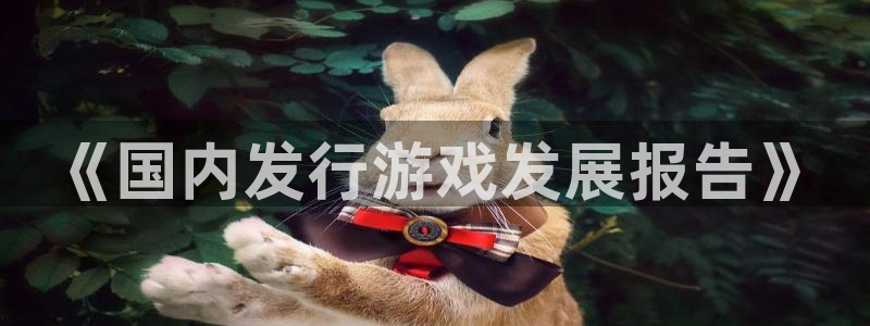 新宝GG官网平台怎么样啊：《国内发行游戏发展报告》