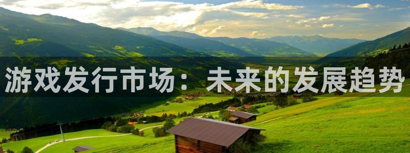 新宝GG子最好看的小说：游戏发行市场：未来的发展趋势