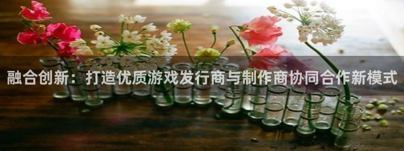 新宝GG官网平台代理开号怎么开：融合创新：打造优质游戏发行商与制作商协同合作新模式