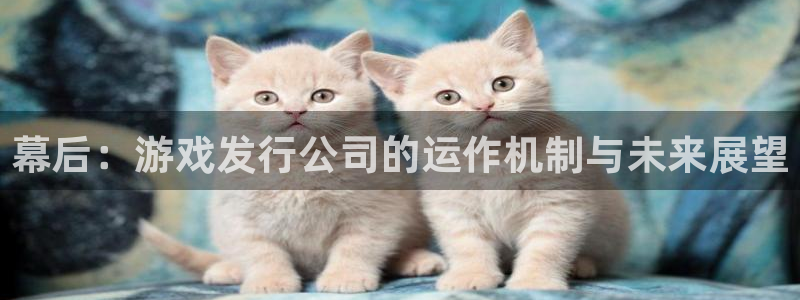 新宝GG香烟图片：幕后：游戏发行公司的运作机制与未来展望