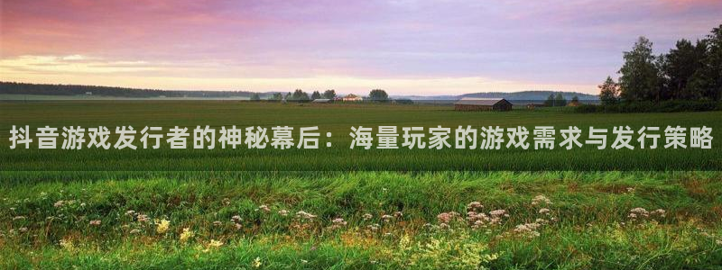 新宝GG官网主管他494o3 主管：抖音游戏发行者的神秘幕后：海量玩家的游戏需求与发行策略