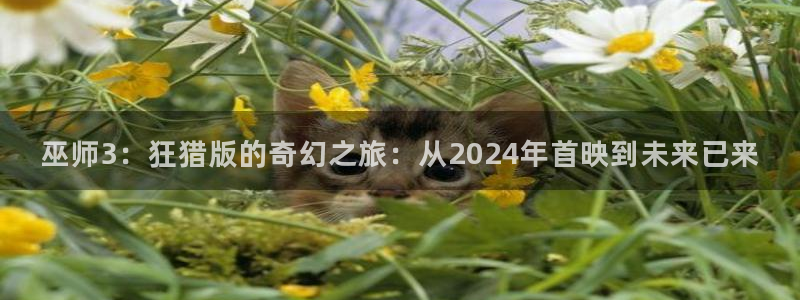 新宝GG商标：巫师3：狂猎版的奇幻之旅：从2024年首映到未来已来