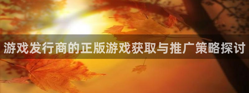 新宝GG官网注册方法有哪些软件：游戏发行商的正版游戏获取与推广策略探讨