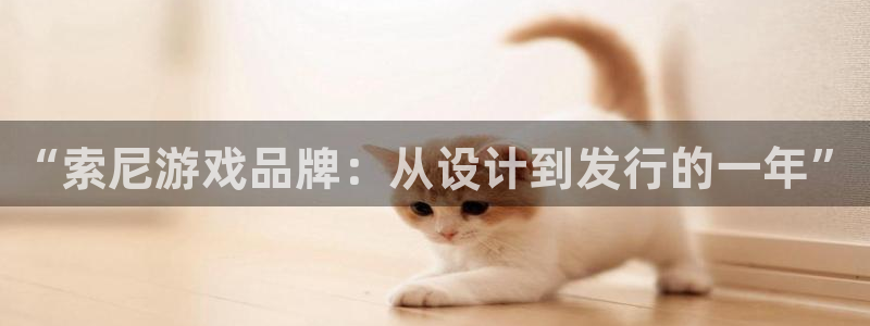 新宝GG服装分店有几家：“索尼游戏品牌：从设计到发行的一年”