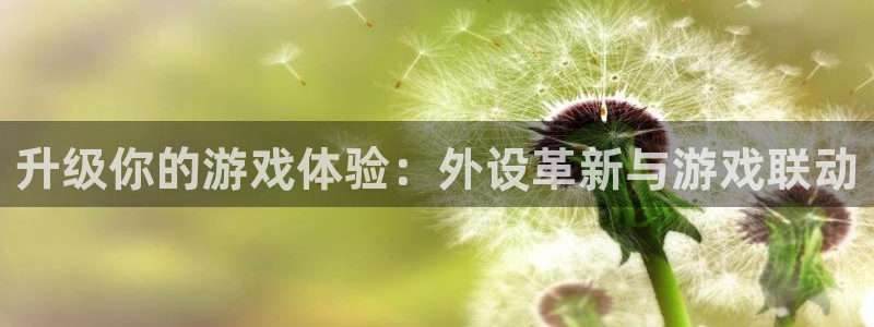 新宝GG干红葡萄酒750毫升多少钱：升级你的游戏体验：外设革新与游戏联动
