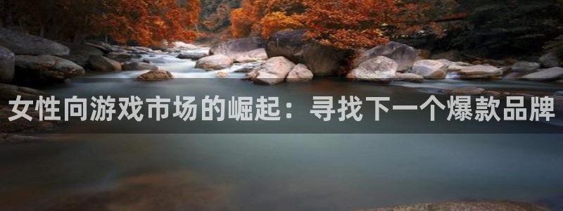 长沙新宝GG子电子商务有限公司