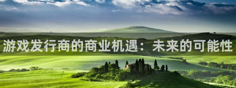 广东新宝GG电子商务有限公司电话：游戏发行商的商业机遇：未来的可能性