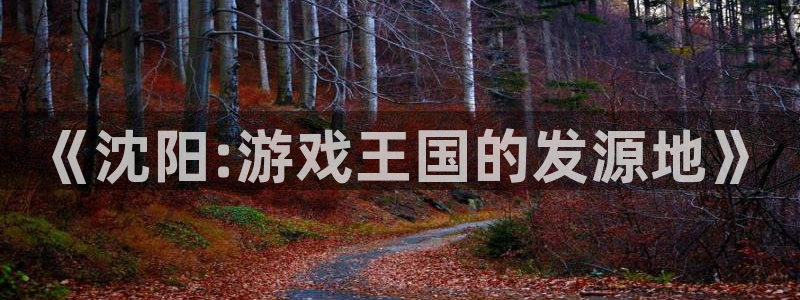 新宝GGlvnces官网