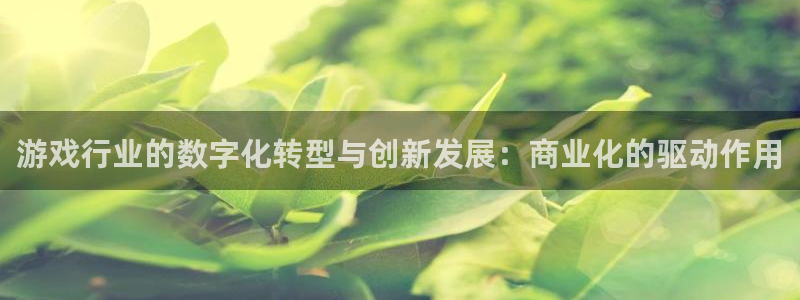 广州新宝GG网络科技有限公司：游戏行业的数字化转型与创新发展：商业化的驱动作用