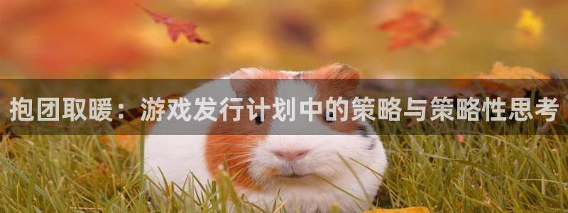 陕西新宝GG子文化公司加我qq：抱团取暖：游戏发行计划中的策略与策略性思考