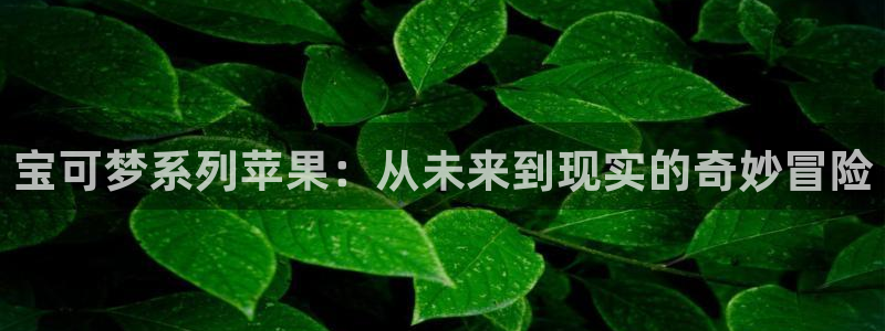 新宝GG子经理人一共出了多少本