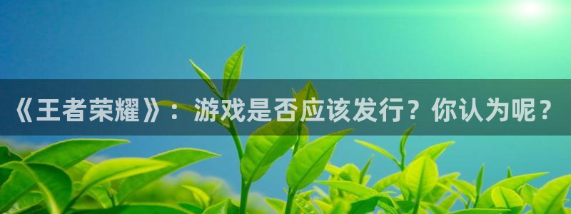 新宝GG官网登录注册失败怎么办：《王者荣耀》：游戏是否应该发行？你认为呢？
