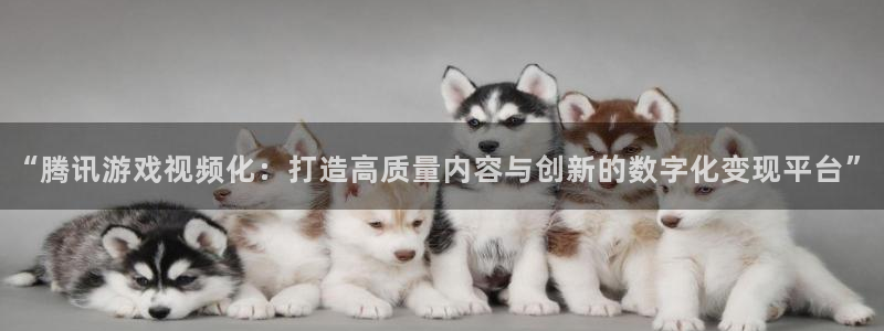我要看新宝GG