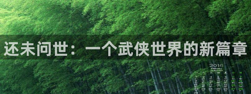 新宝GG子文化是干嘛的：还未问世：一个武侠世界的新篇章
