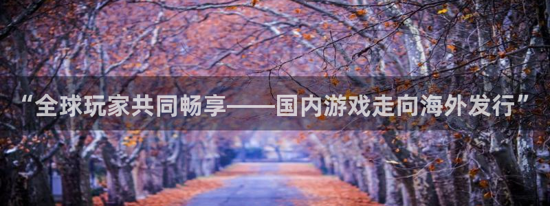 新宝GG官网注册平台是什么意思